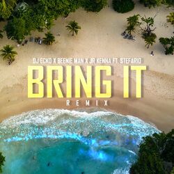 Cover of Bring It (Remix)