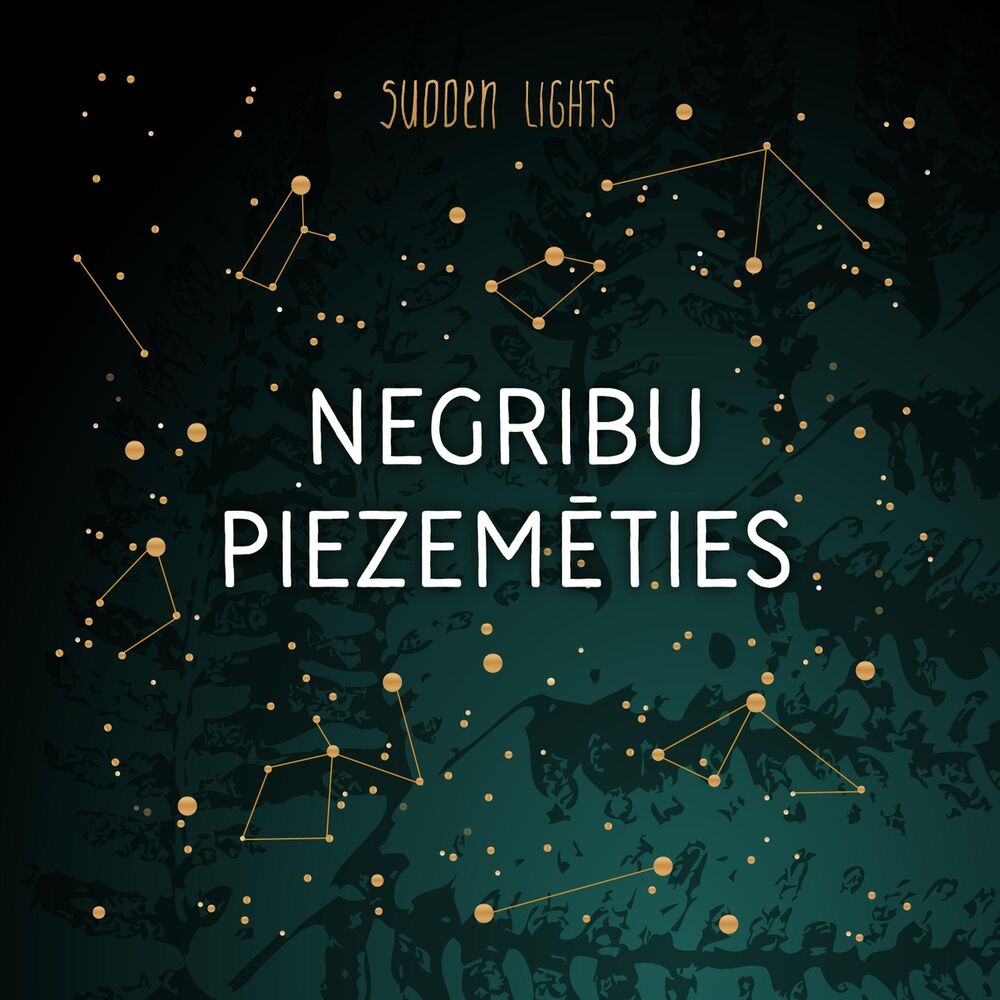 Picture of Negribu piezemēties