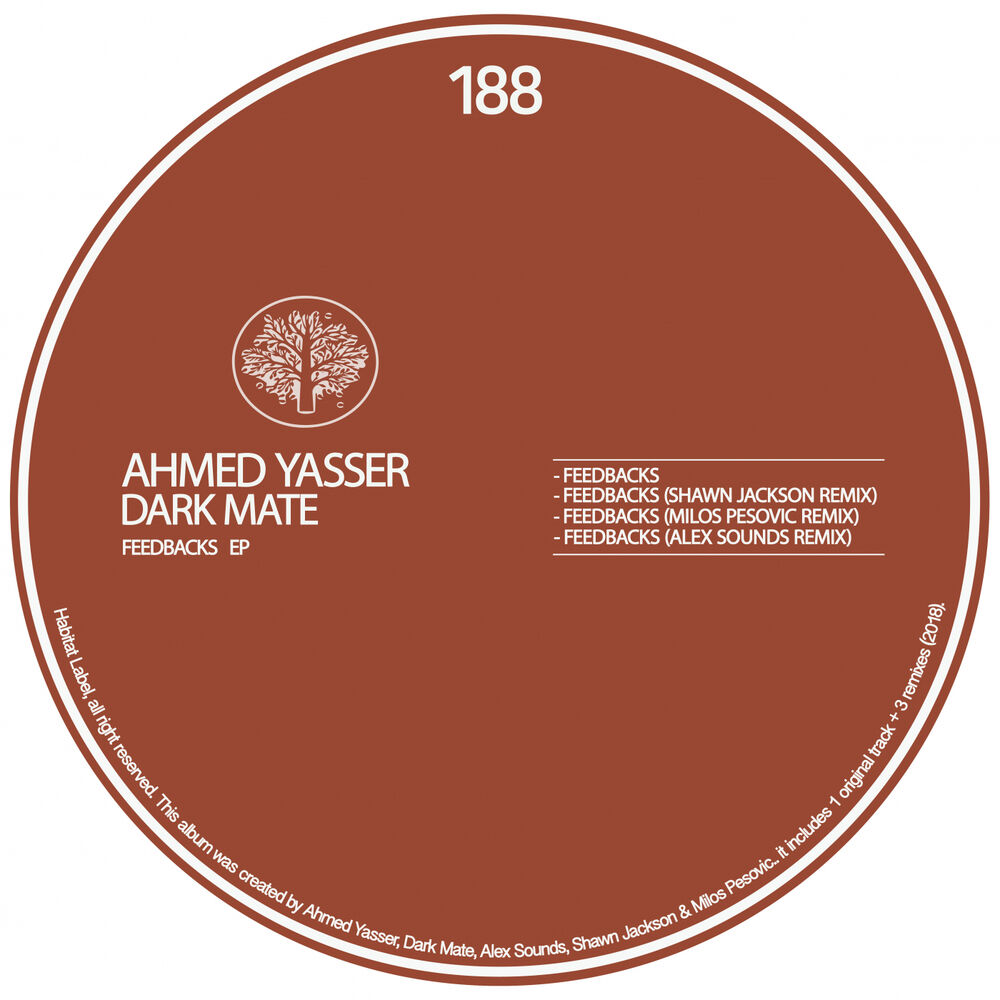 Picture of Feedbacks EP