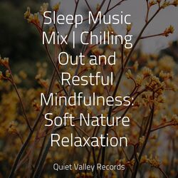 Cover of Sleep Music Mix | Chilling Out and Restful Mindfulness: Soft Nature Relaxation
