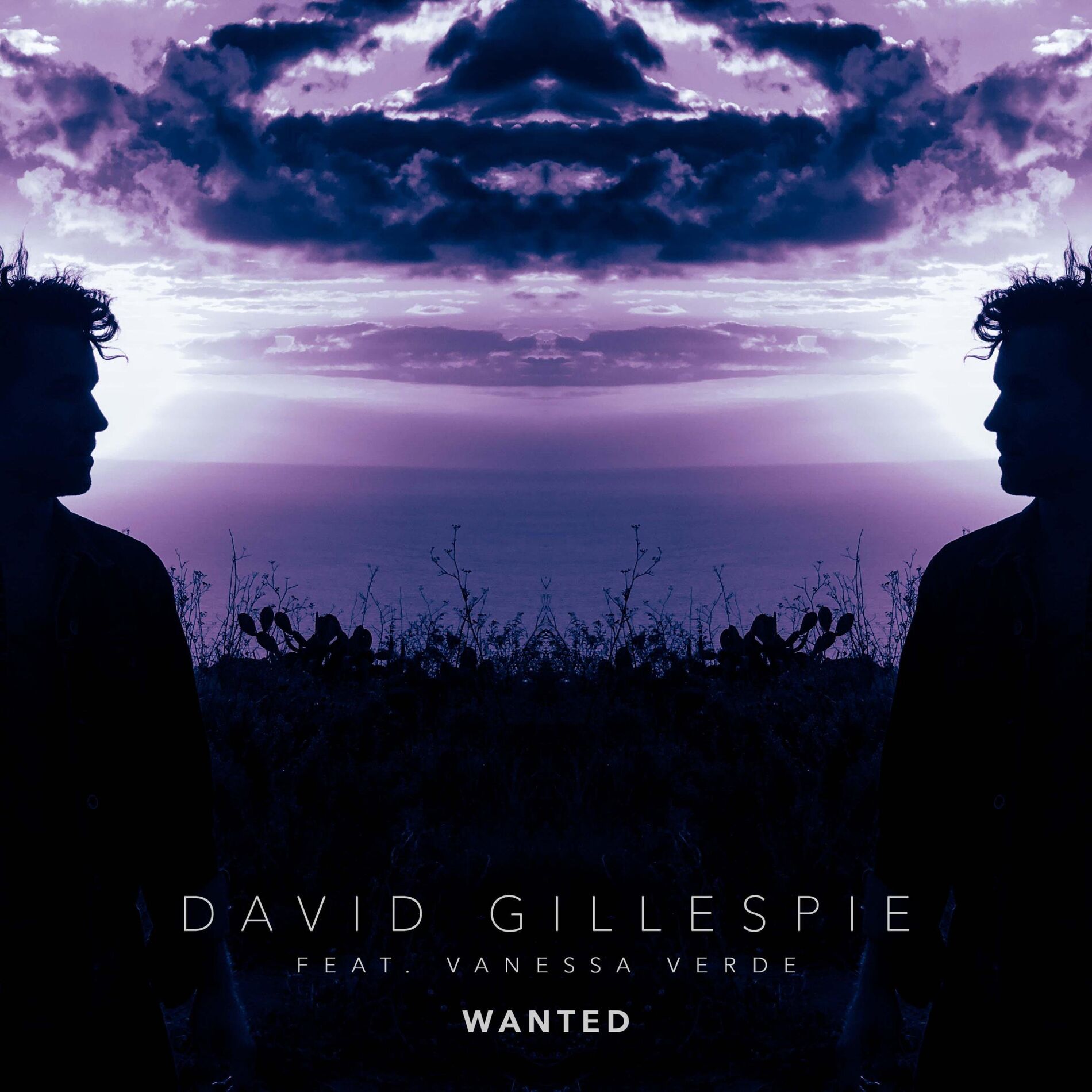 Album cover of Wanted (feat. Vanessa Verde)