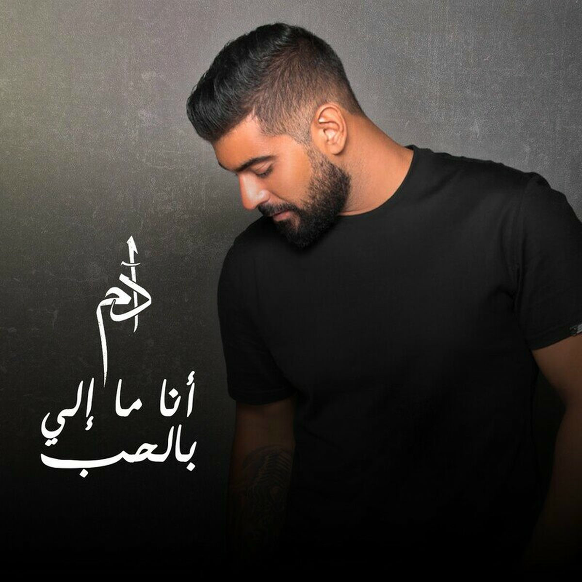 Album cover of Ana Ma Eli Bel Hob