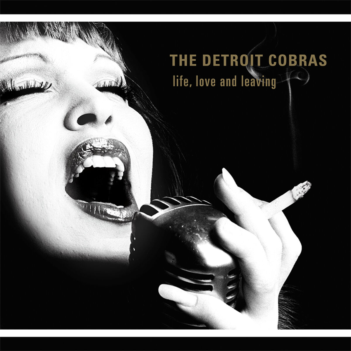 Album cover of Life, Love And Leaving