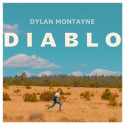 Cover of Diablo
