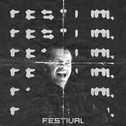 Cover of Festival