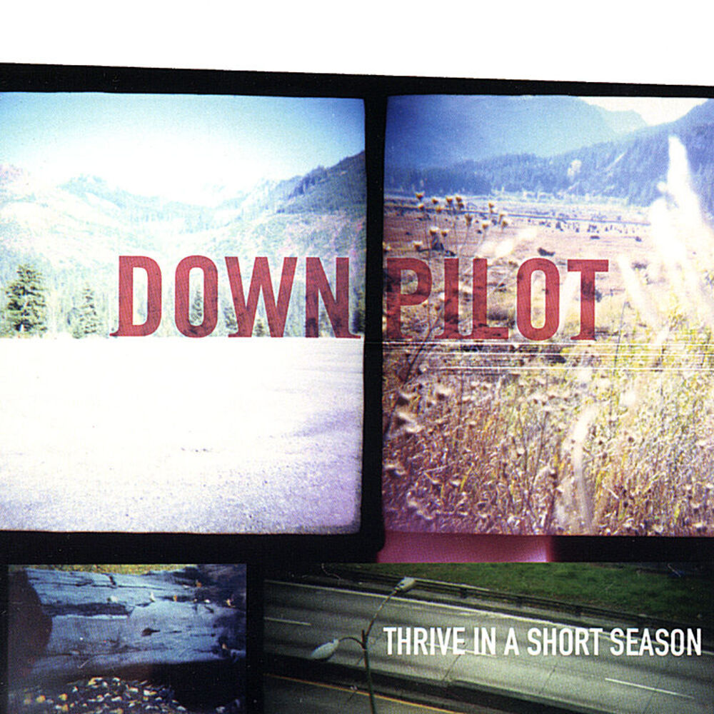 Picture of Thrive In A Short Season