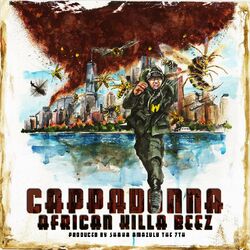Cover of African Killa Beez