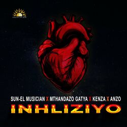 Cover of Inhliziyo