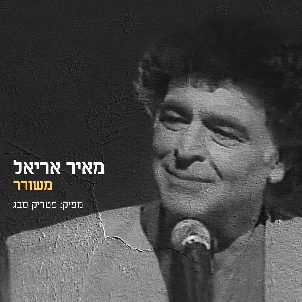 Picture of משורר