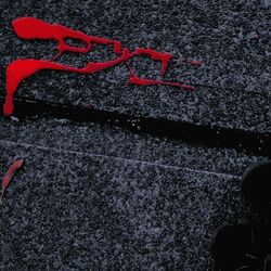 Cover of Album 4