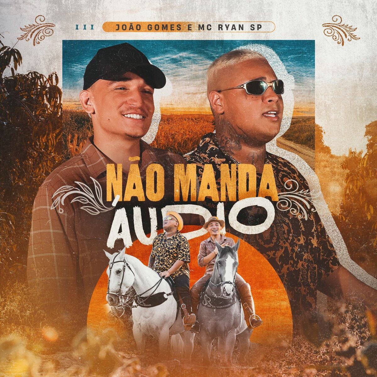 Album cover of Não Manda Áudio