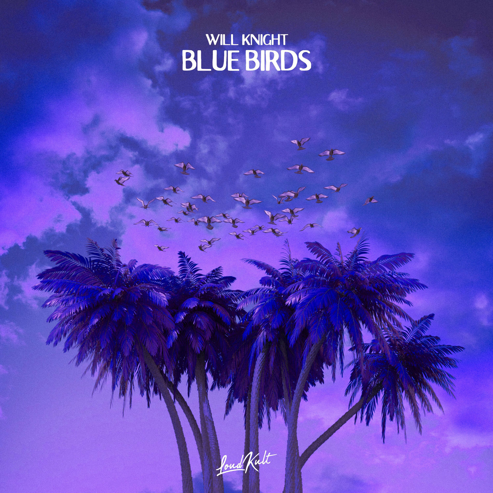 Album cover of Blue Birds