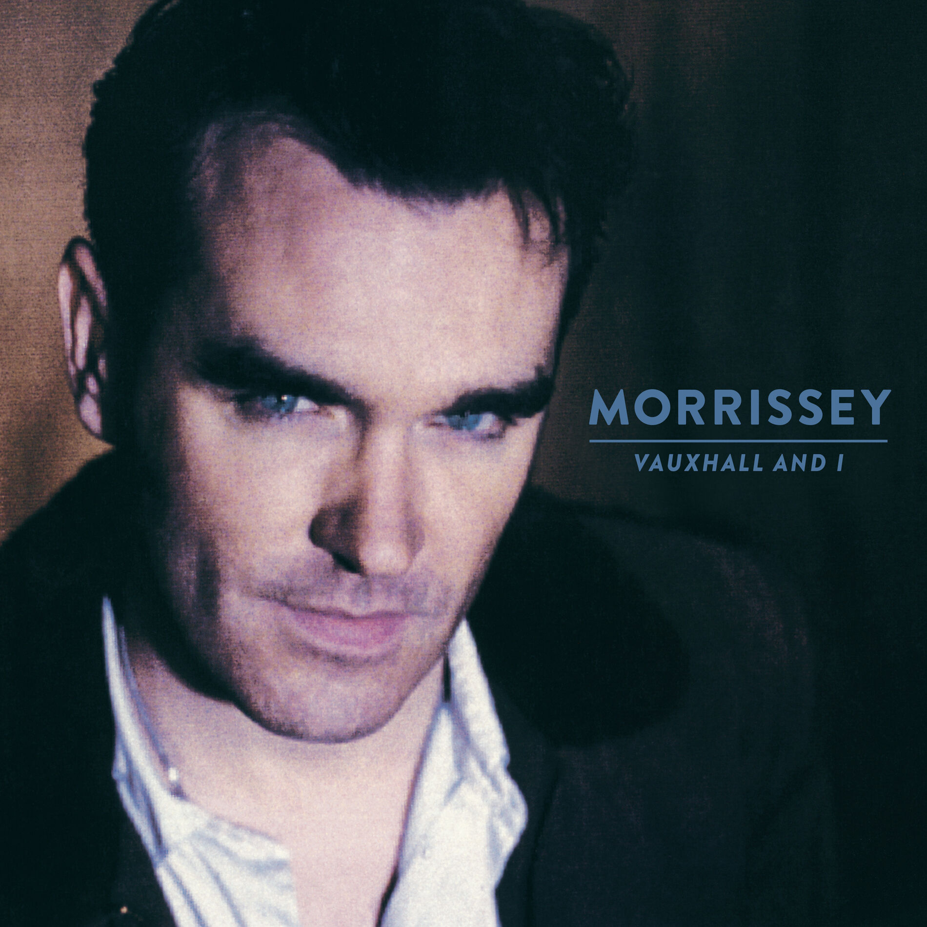Album cover of Vauxhall and I (20th Anniversary Definitive Master)