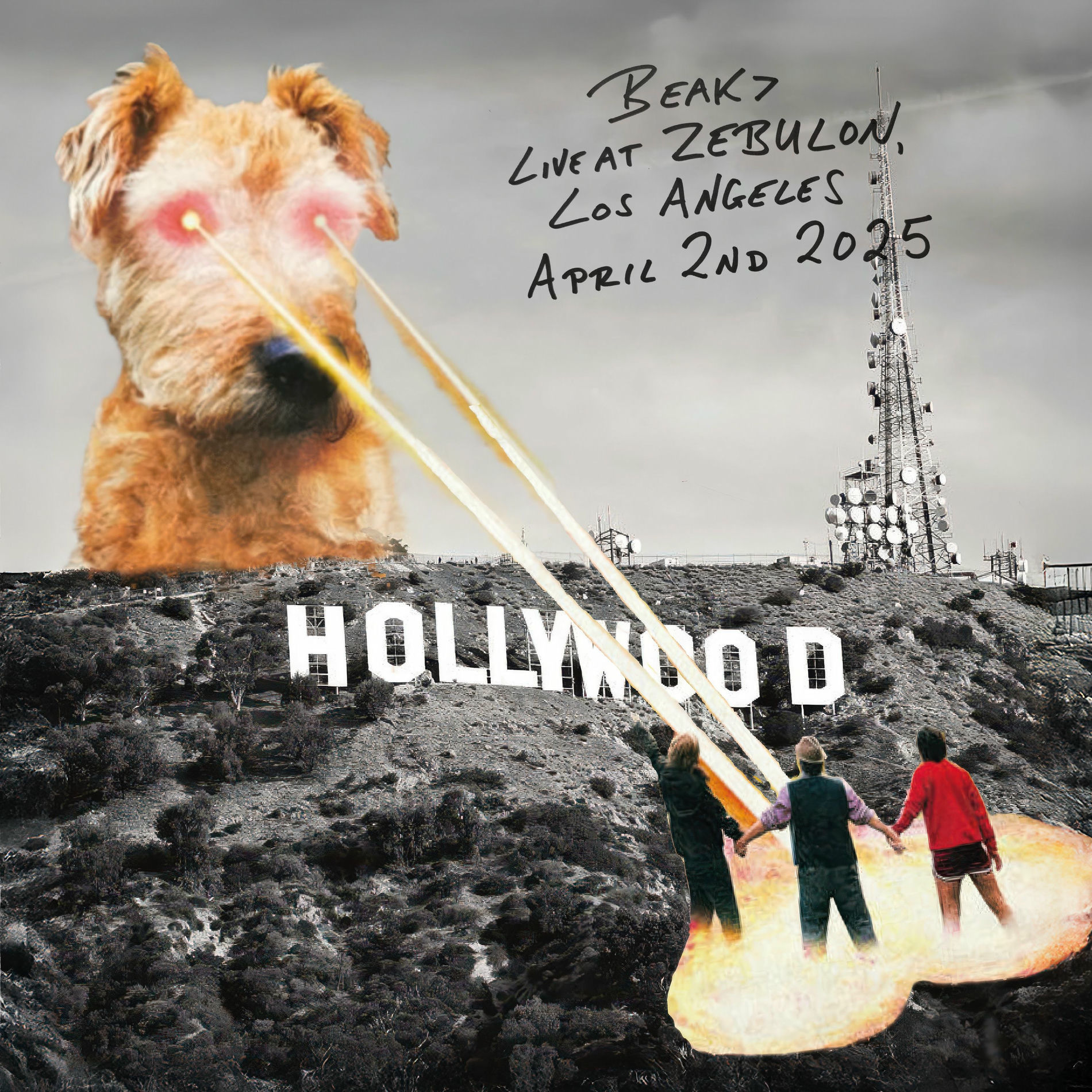 Album cover of Live At Zebulon