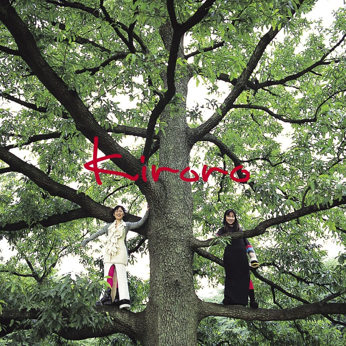 Album cover of Nagai Aida -Kiroro no Mori-