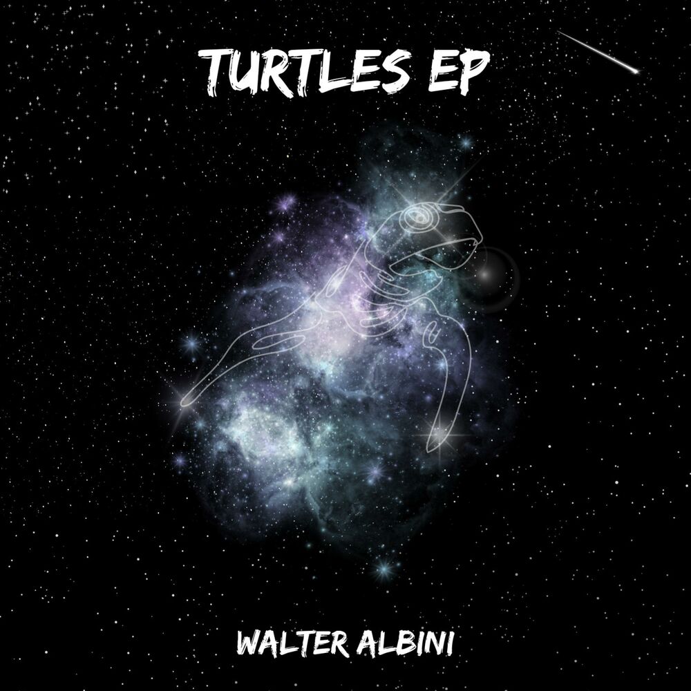 Picture of Turtles EP
