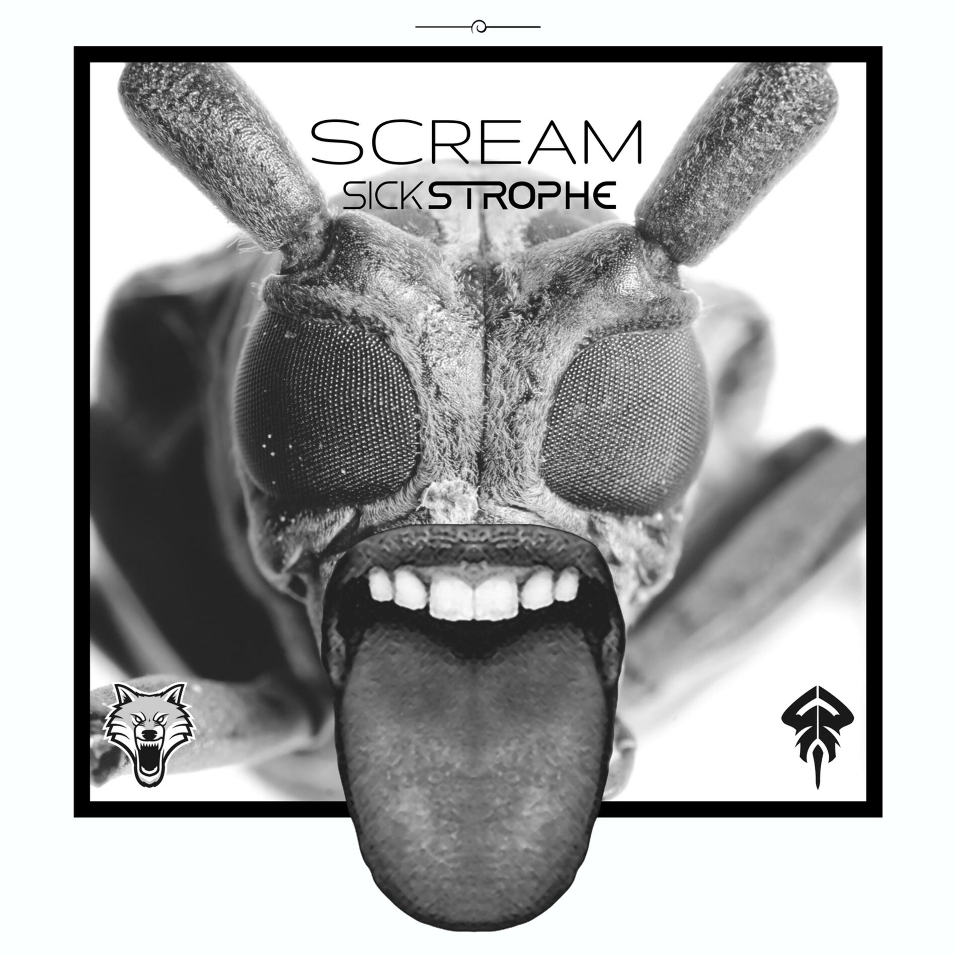 Album cover of Scream
