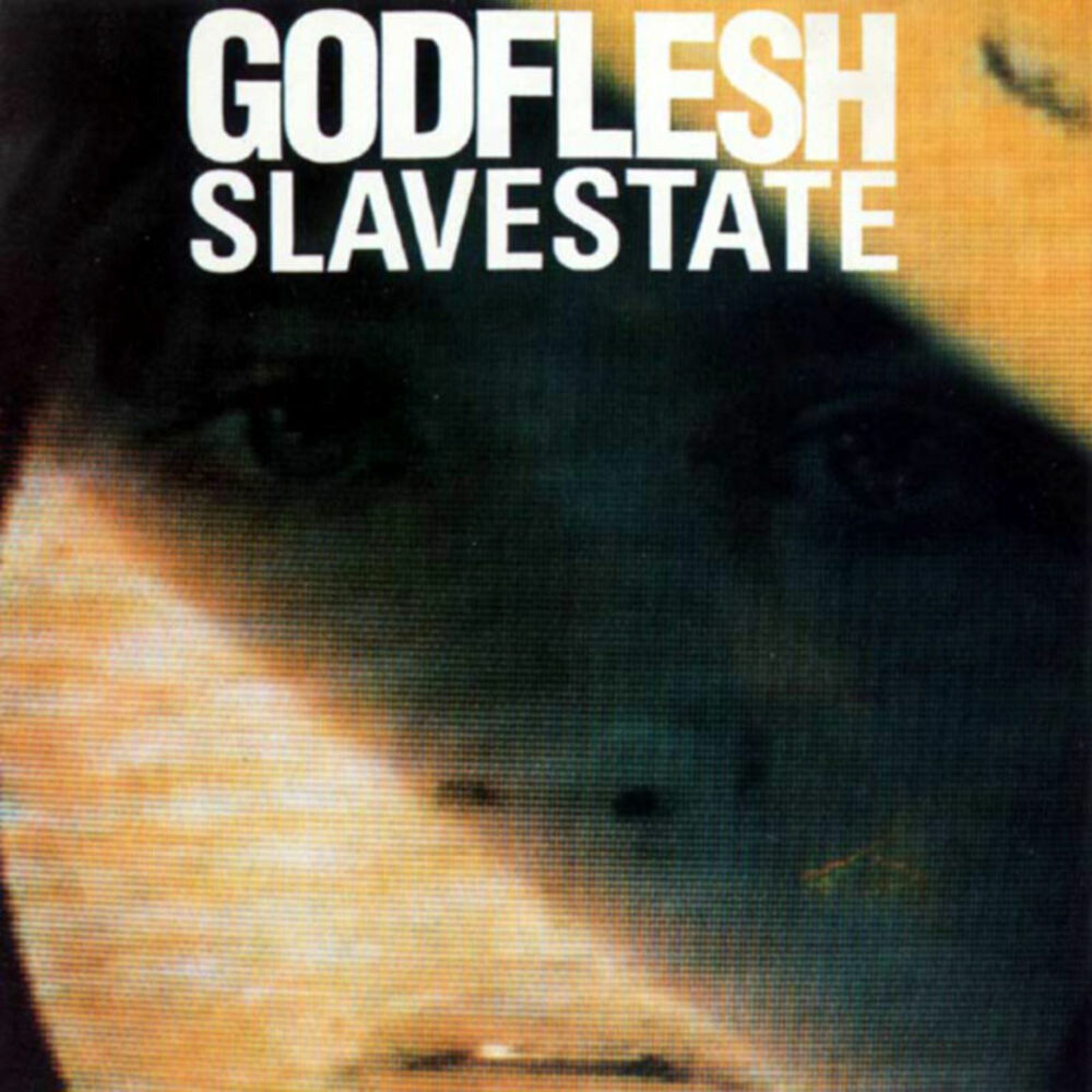 Picture of Slavestate