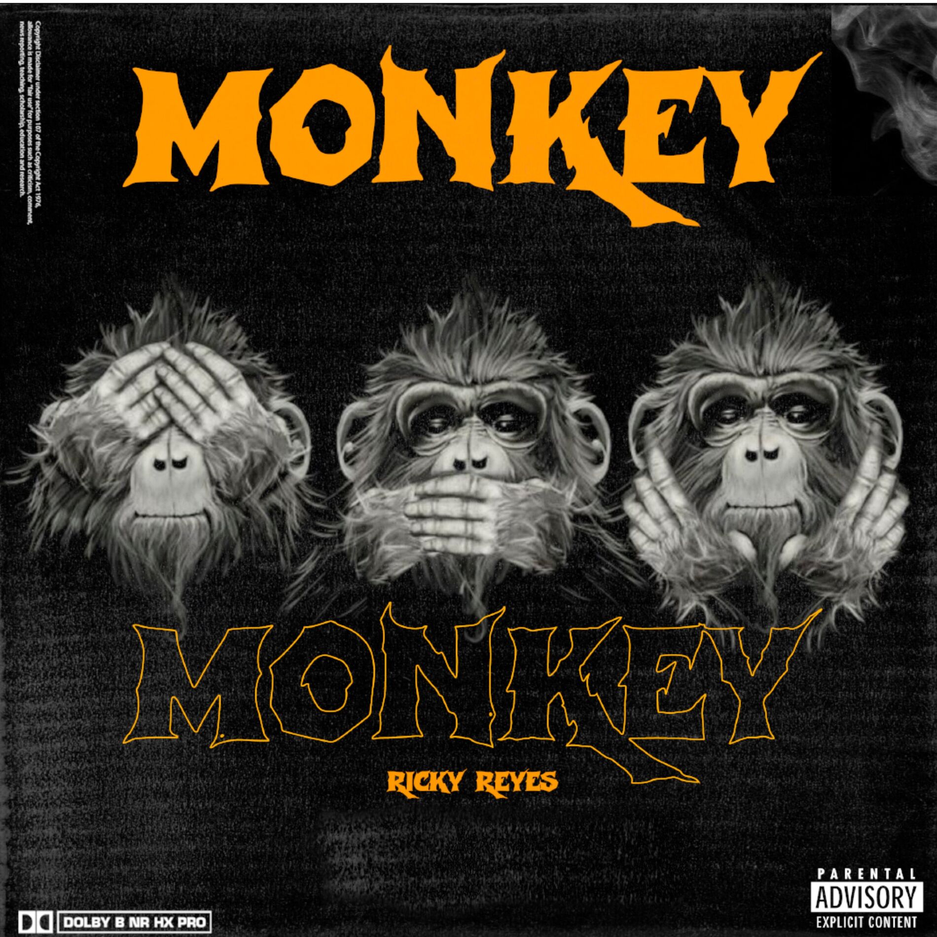 Album cover of Monkey