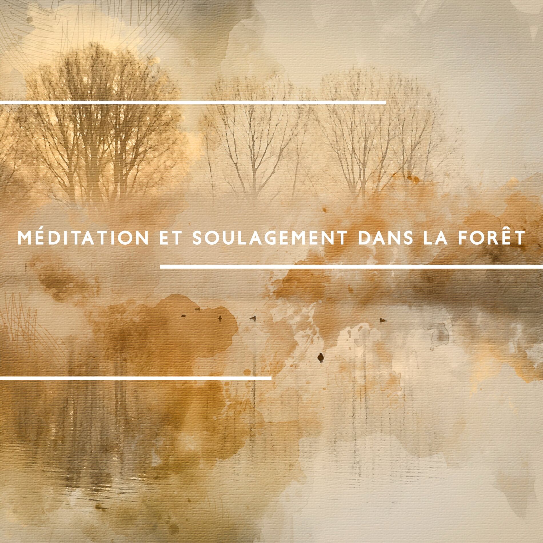 Album cover of Méditation et soulagement dans la forêt, Bruit des oiseaux (Fermez les yeux et détendez-vous)