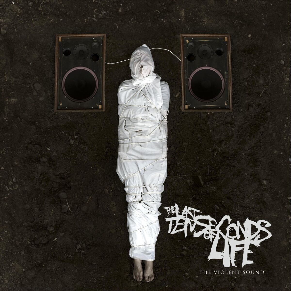 Album cover of The Violent Sound