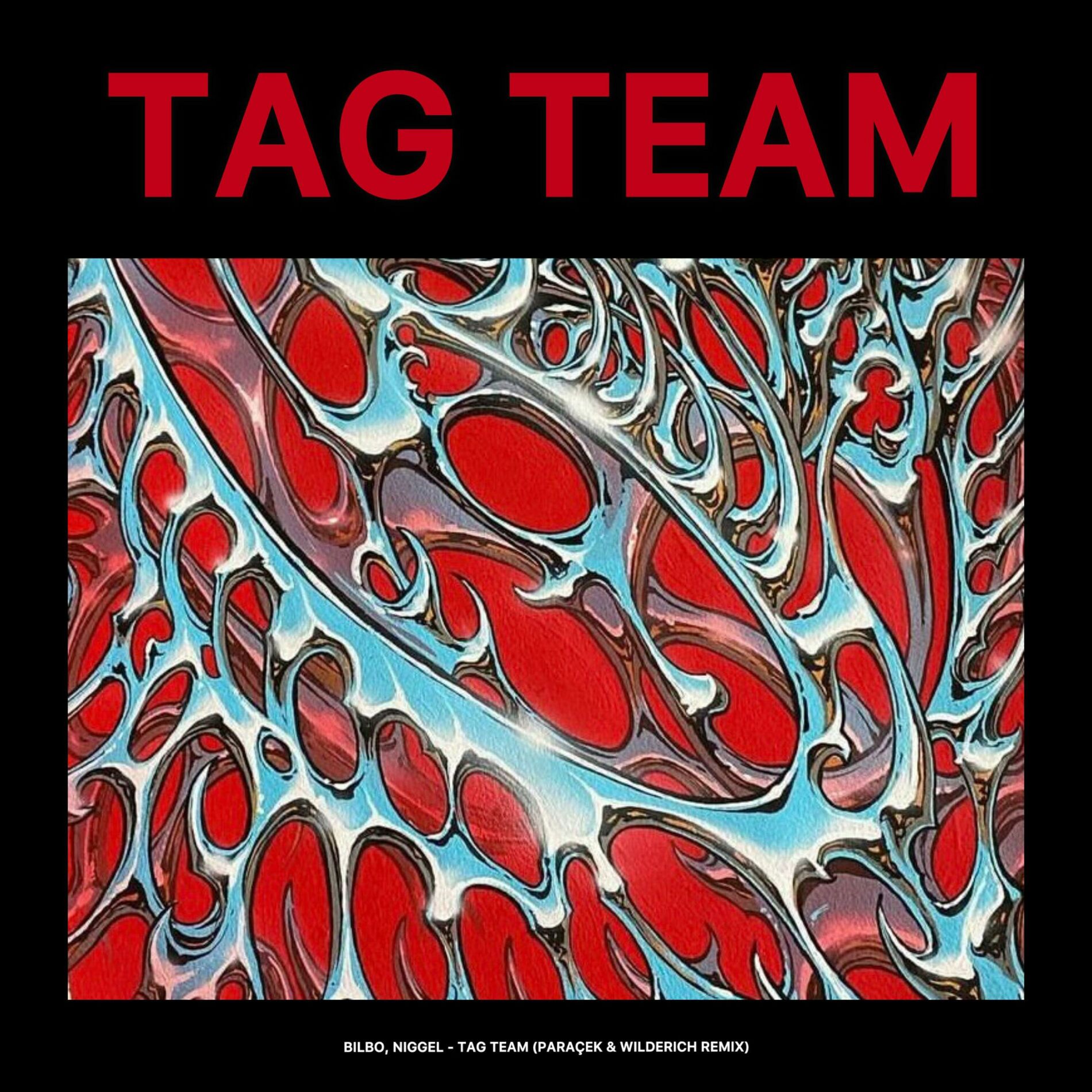 Album cover of Tag Team (Radio Edit)