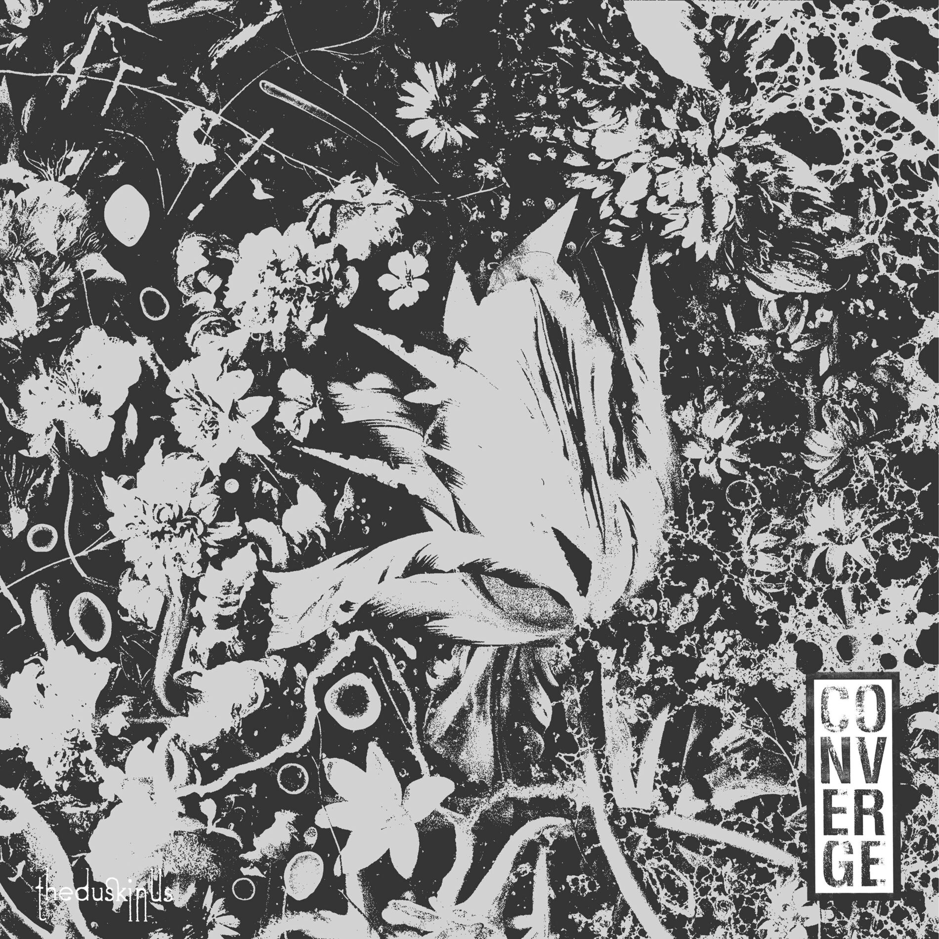 Album cover of The Dusk In Us (Deluxe Edition)