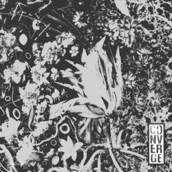 Cover of The Dusk In Us (Deluxe Edition)