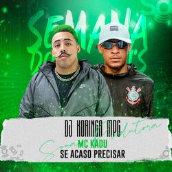 Cover of Se Acaso Precisar