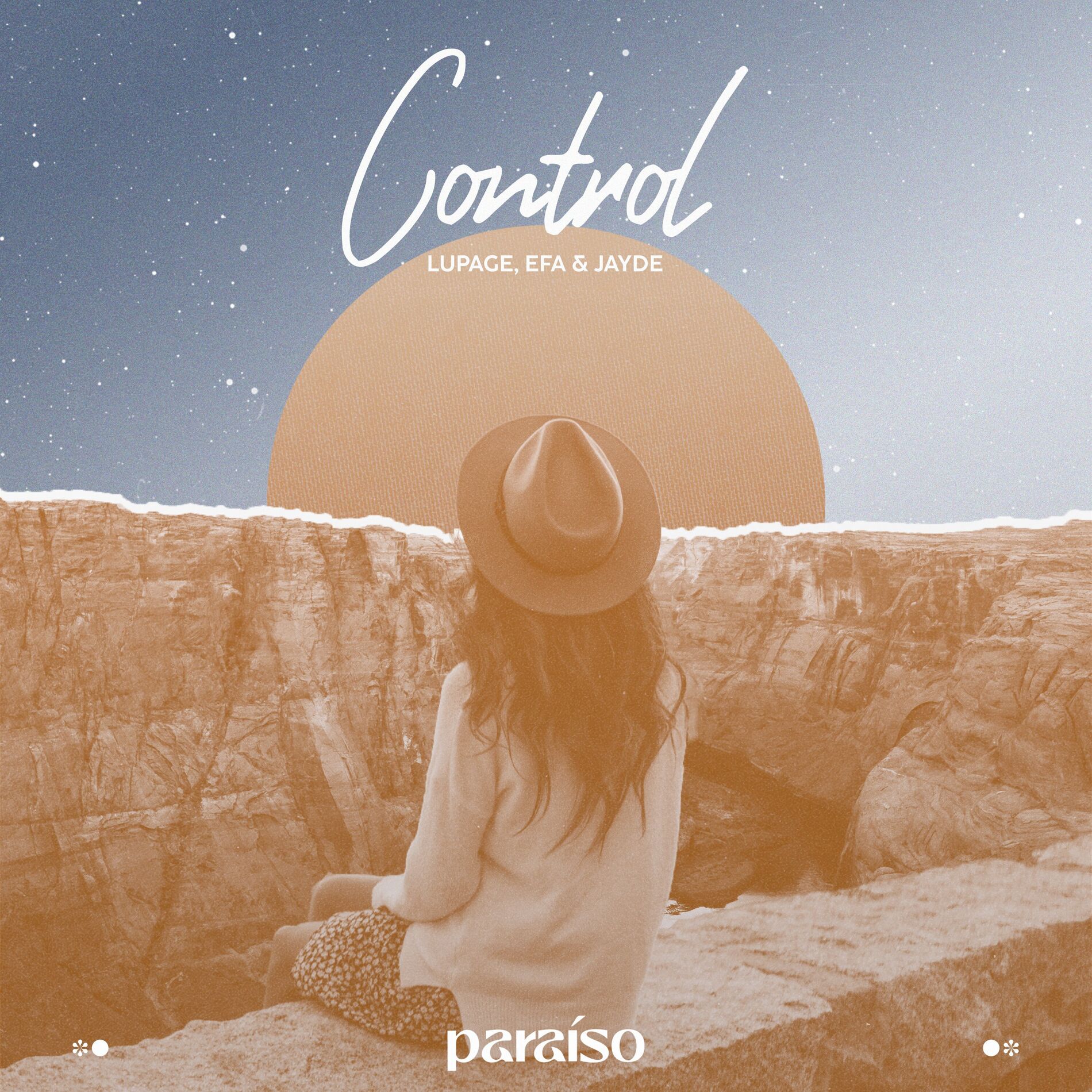 Album cover of Control