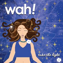 Cover of Take the Light