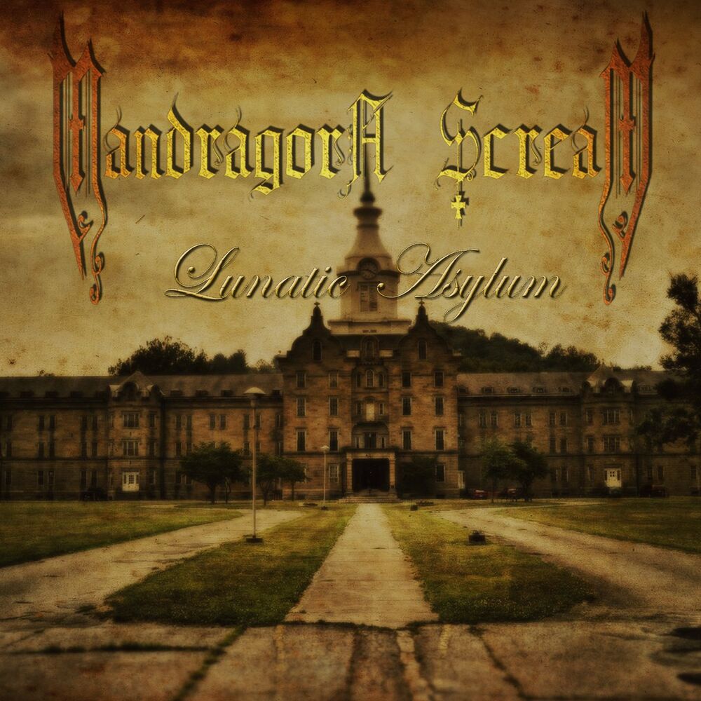 Picture of Lunatic Asylum