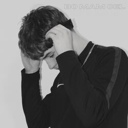 Cover of Bo Mam Cel