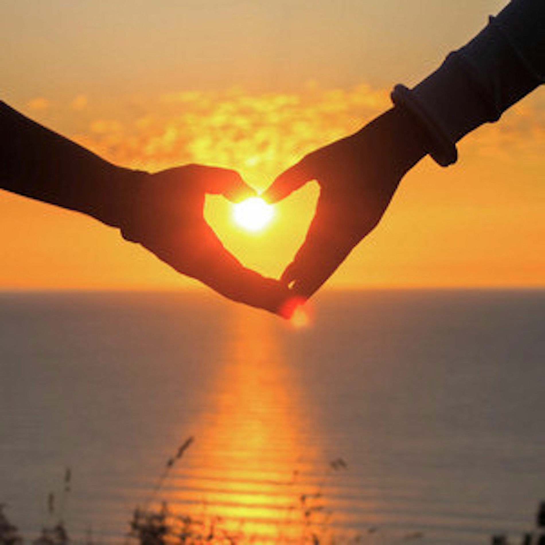 Album cover of Falling in love