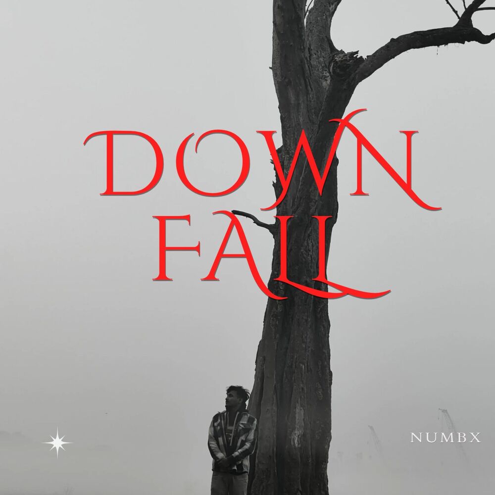 Picture of DOWNFALL