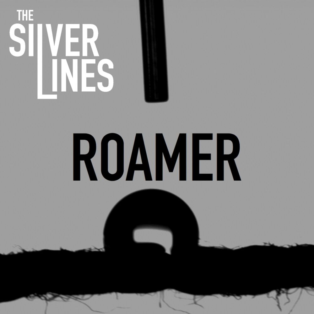 Picture of Roamer