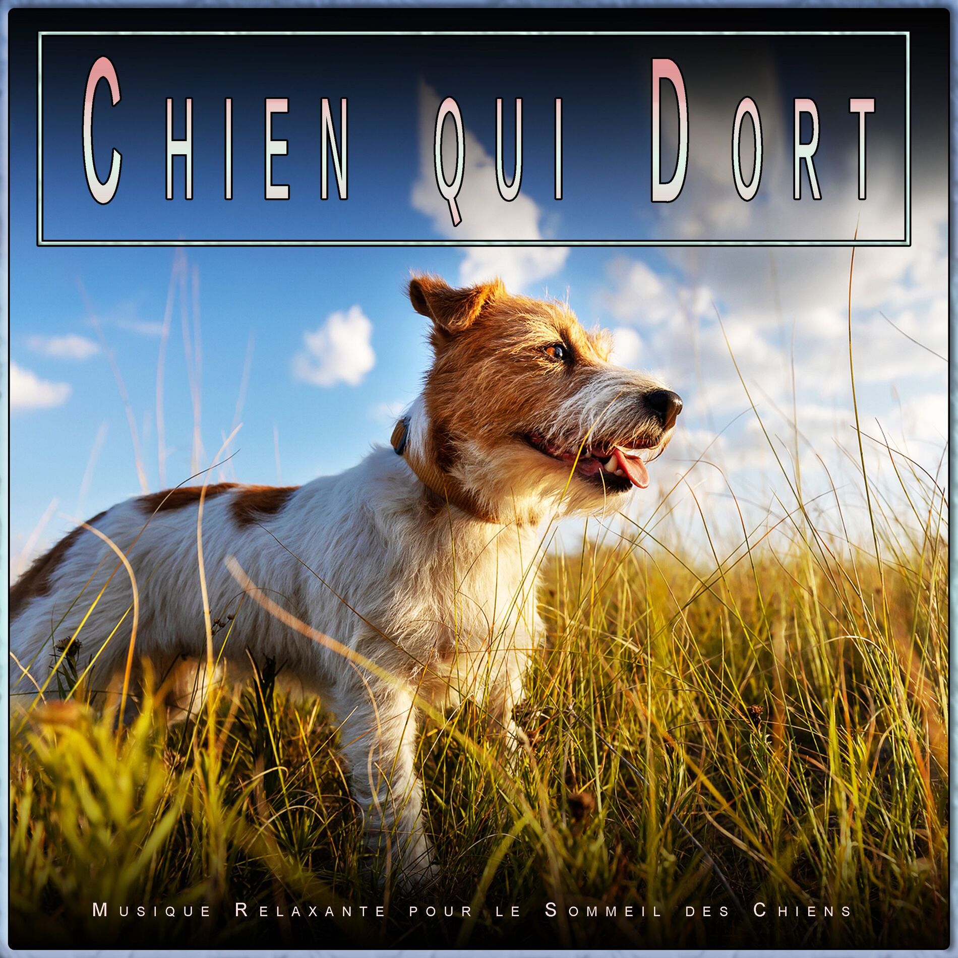 Album cover of Musique Sereine pour Mon Chien