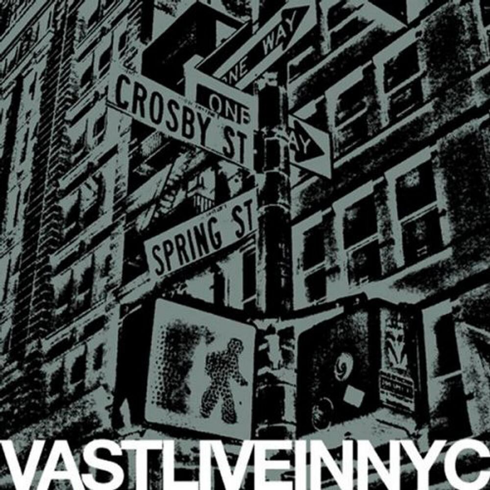 Picture of Vast Live in New York City