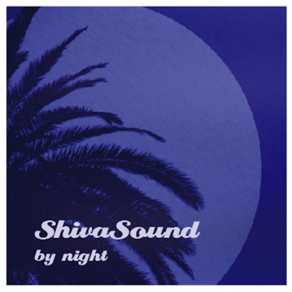 Picture of Shiva Sound by Night
