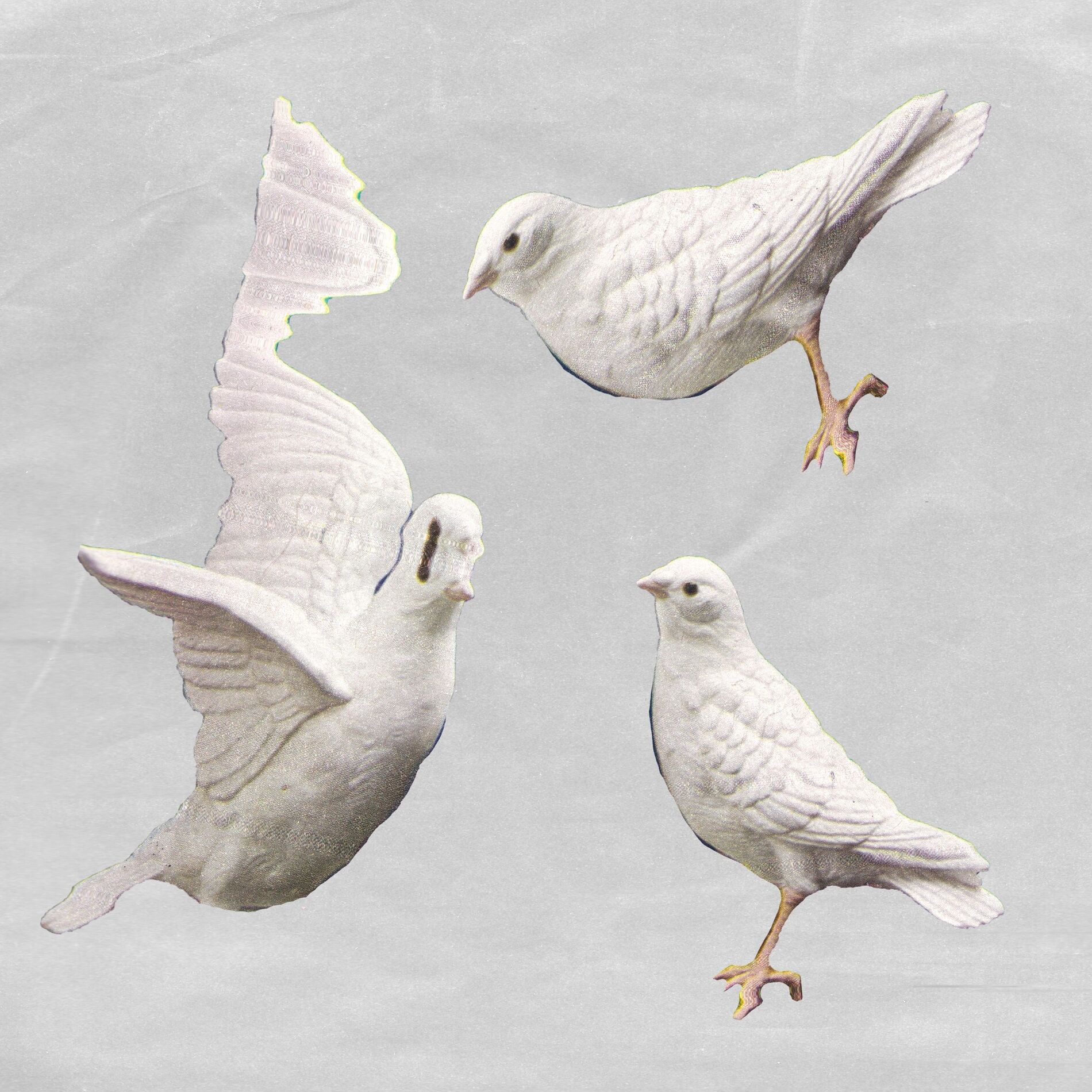 Album cover of Number (feat. Freak Slug)