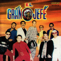Cover of Goza Tu Vida