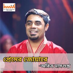 Cover of Premer Joare