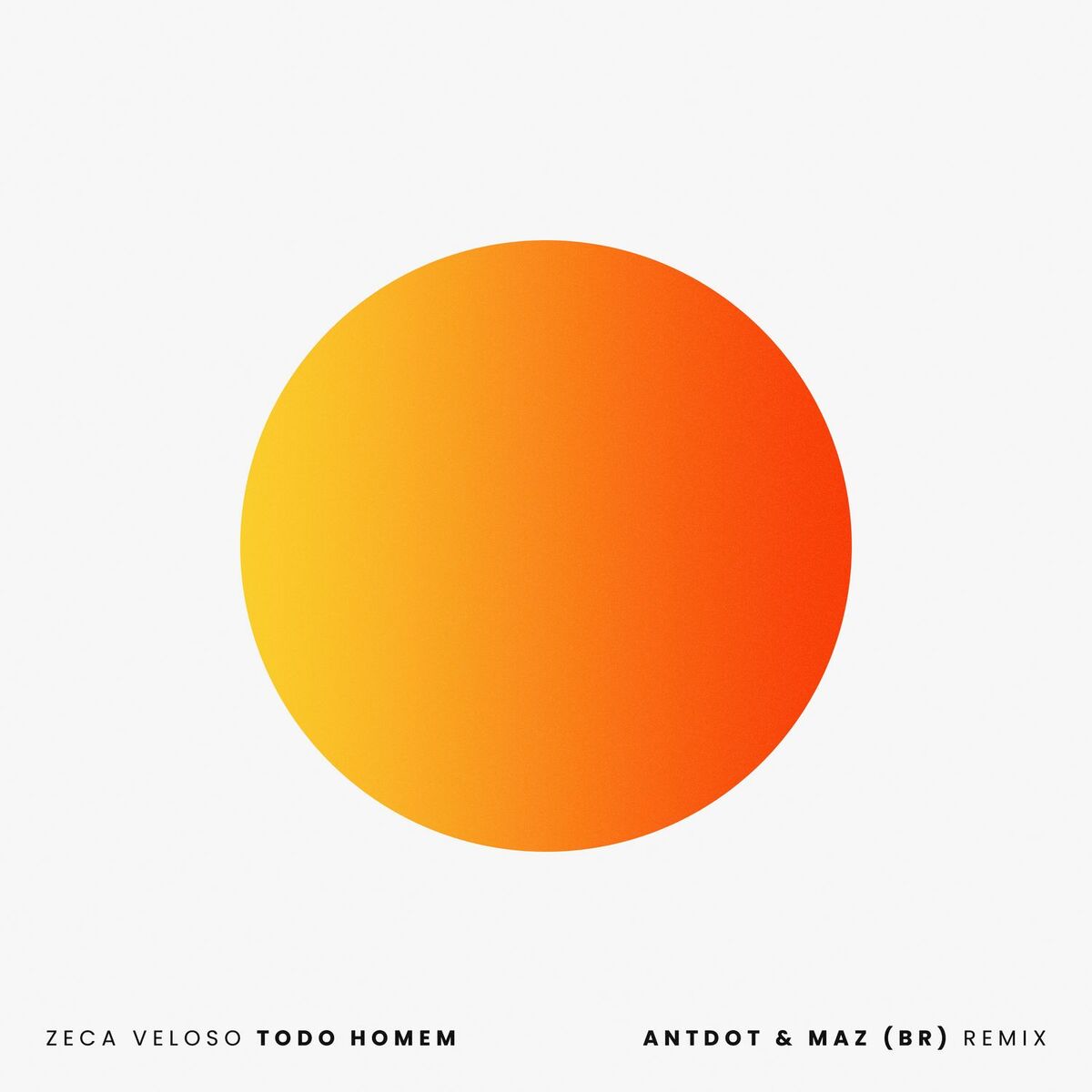 Album picture of Todo Homem (Antdot & Maz BR Remix)