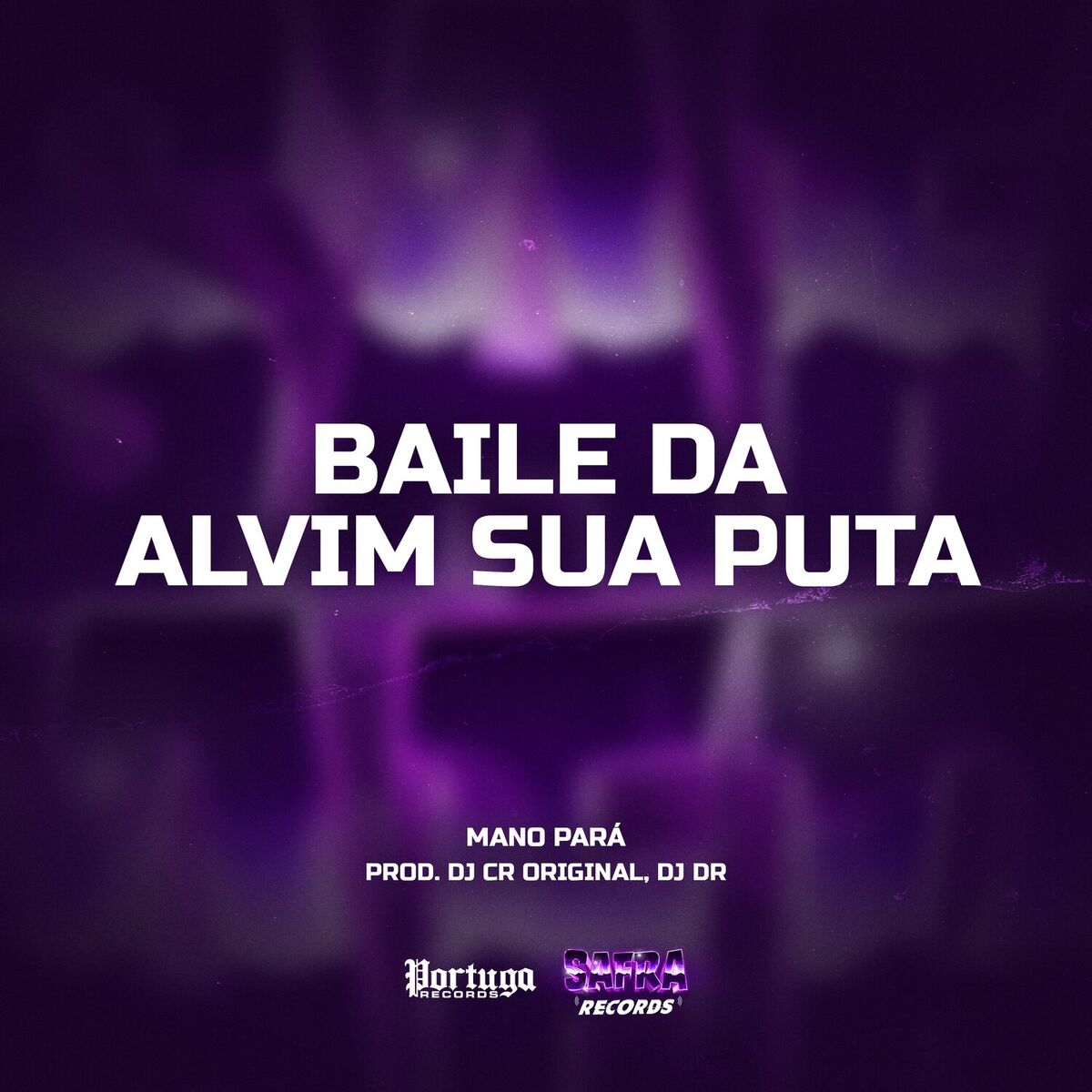 Album cover of BAILE DA ALVIM SUA PUTA