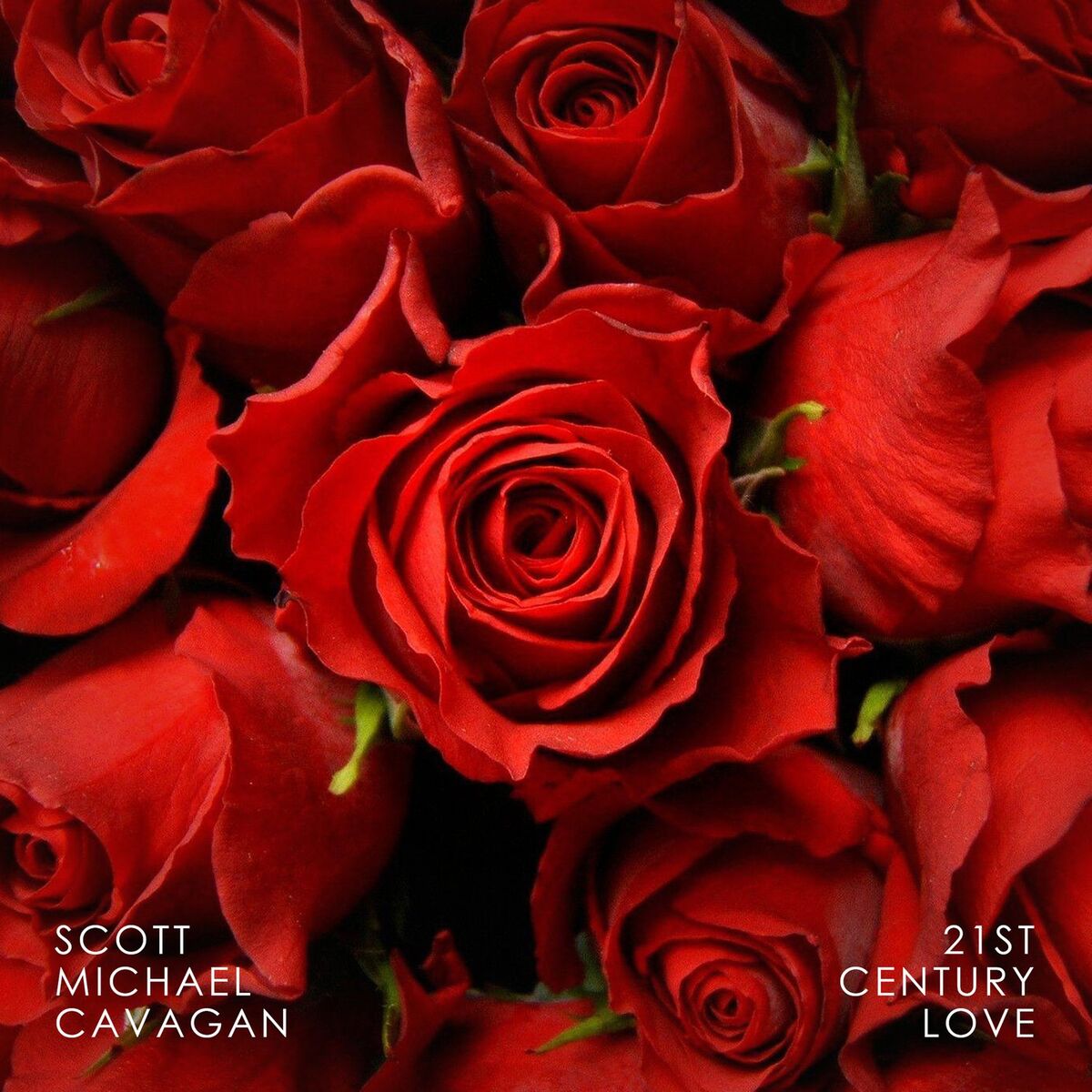 Album cover of 21st Century Love