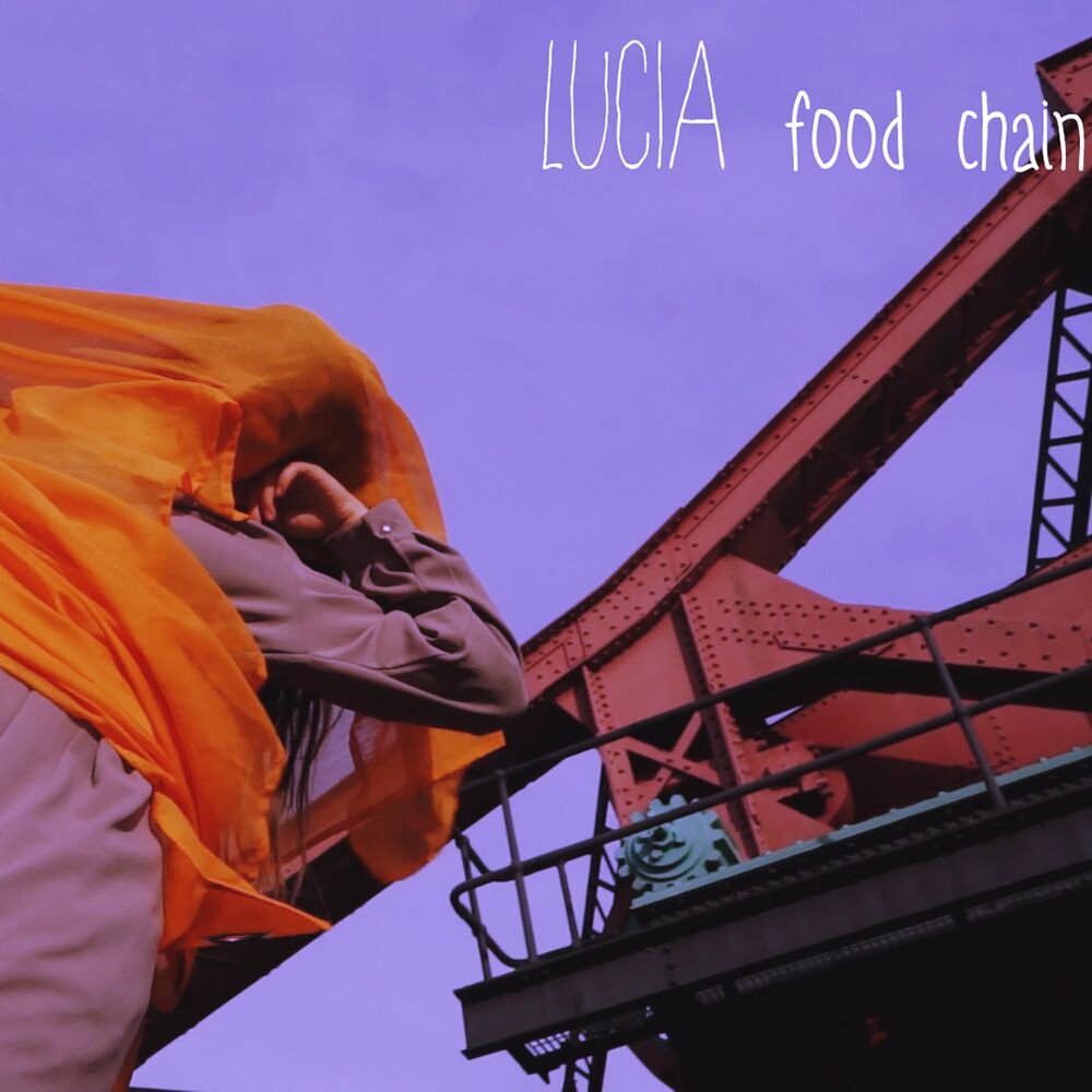 Picture of Food Chain