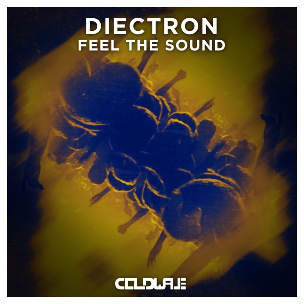 Picture of Feel The Sound (Crazy)