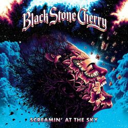 Cover of Screamin' At The Sky