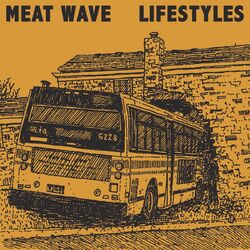Cover of Meat Wave & Lifestyles Split