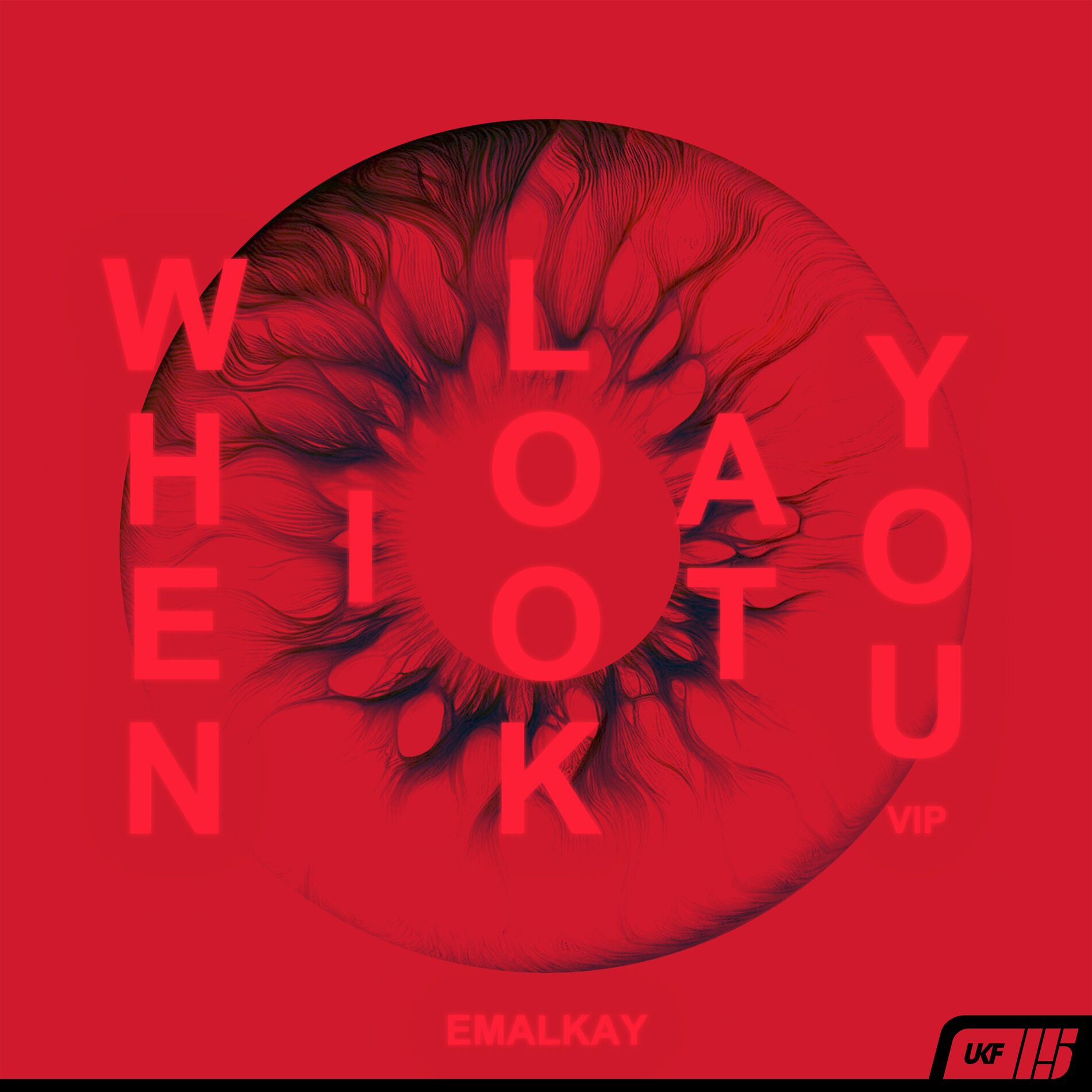 Album cover of When I Look At You